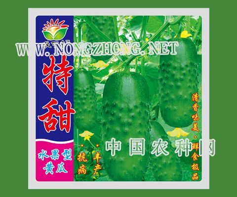 特甜水果黄瓜